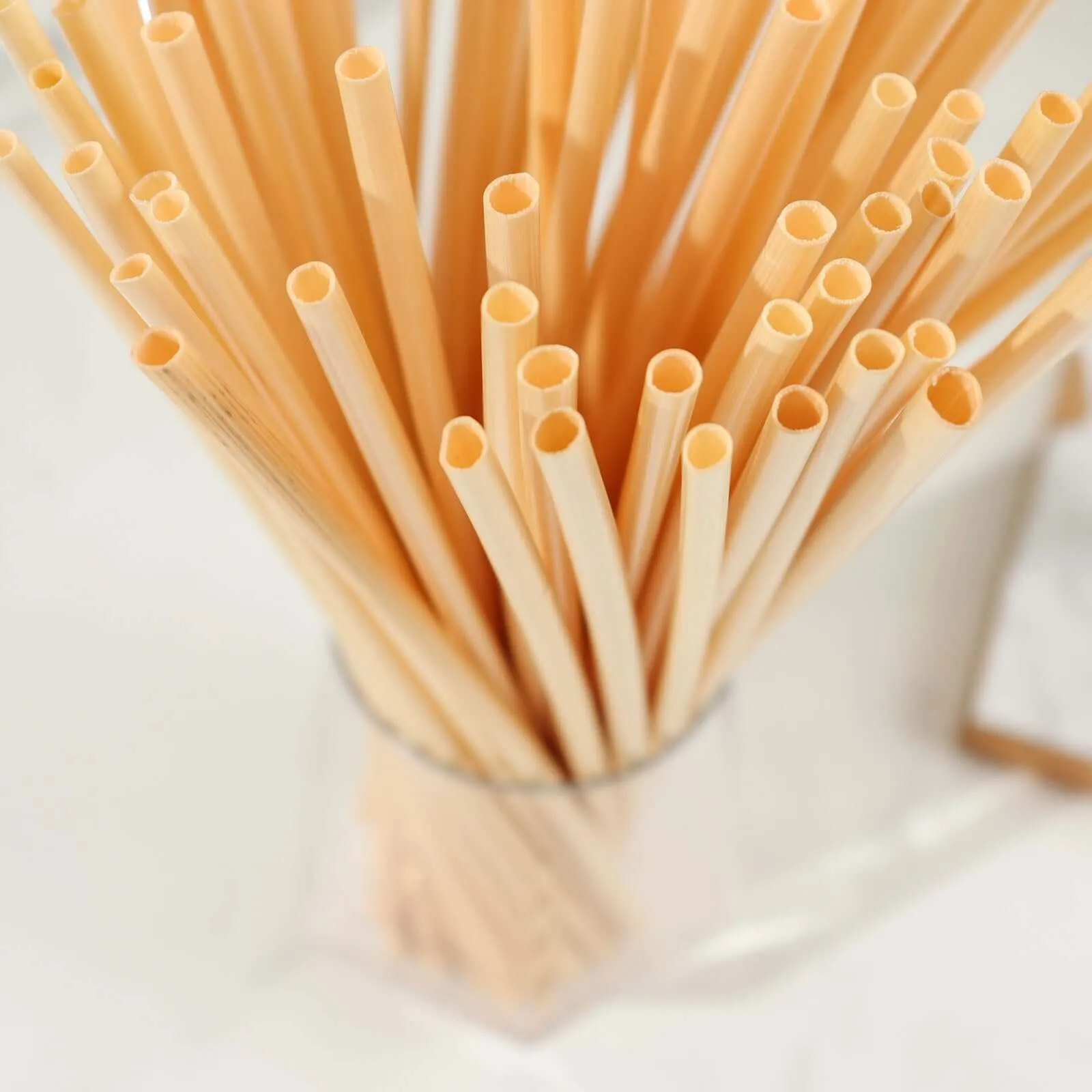 100 Pack Compostable Plant Based Disposable 100% Plastic FREE Straws, Eco-Friendly 9" Wheat Drinking Straws