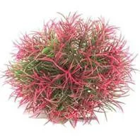 Aquatop Aquatic Supplies - Aquarium Plant Ball