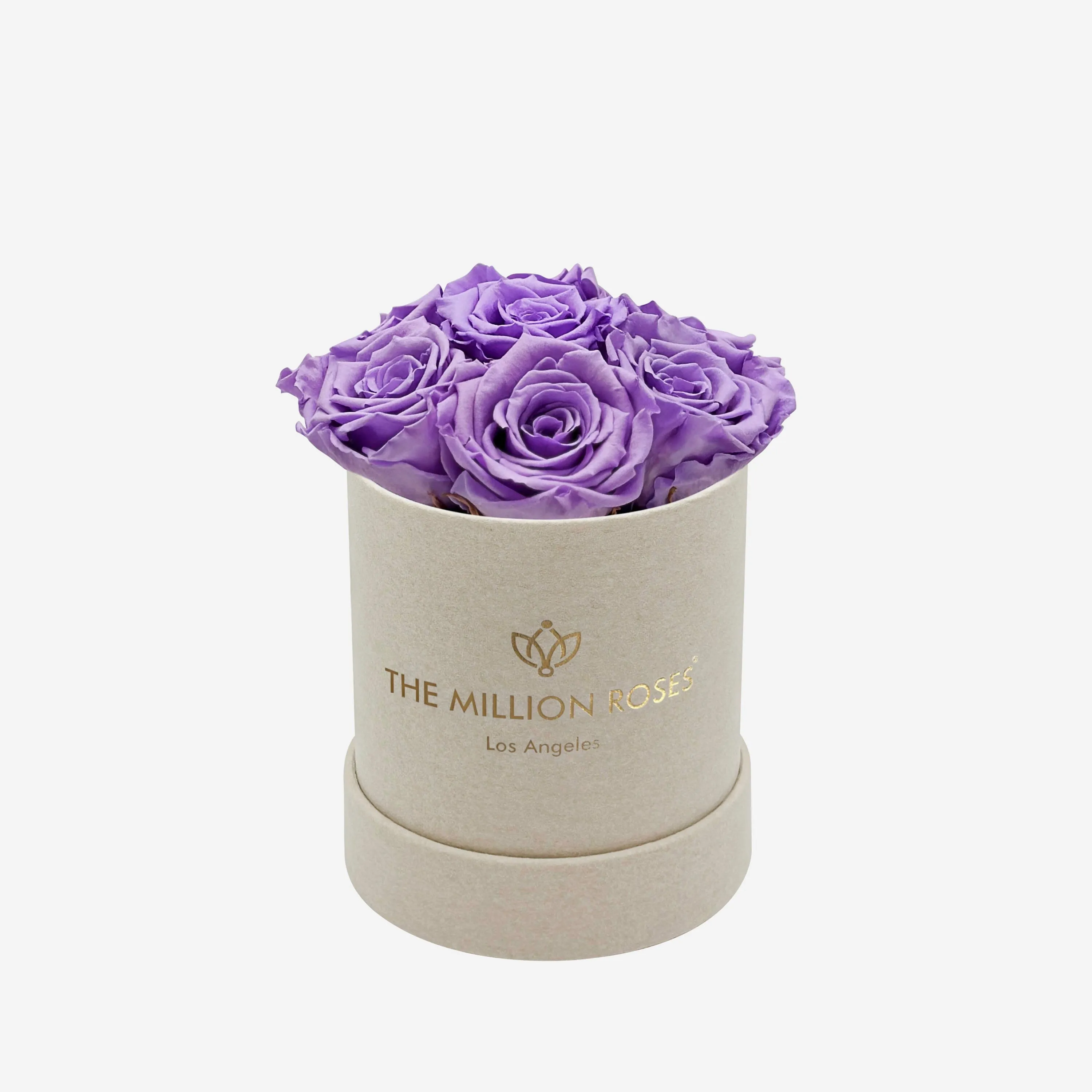 Basic Beige Suede Box | Lavender Roses